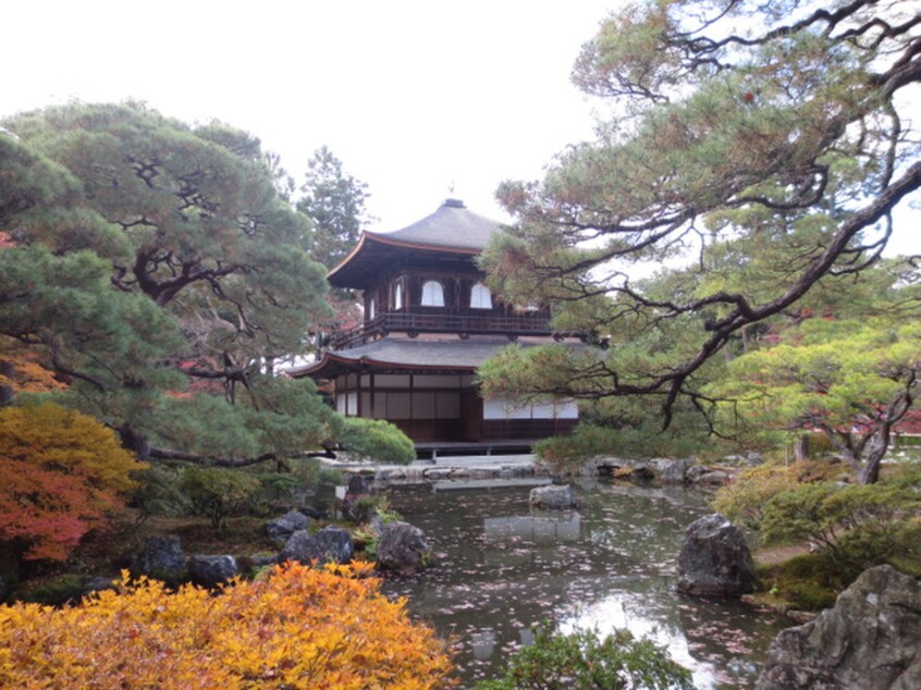 銀閣寺(公園)まで600m ブランネージュ銀閣寺道