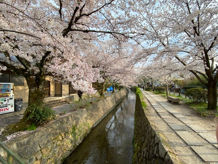 哲学の道(美術館/博物館)まで150m ブランネージュ銀閣寺道
