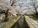 哲学の道(美術館/博物館)まで150m ブランネージュ銀閣寺道