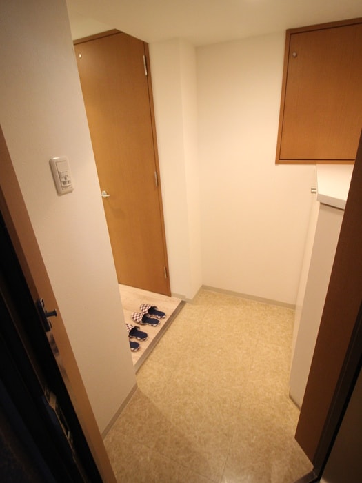 玄関 デルタイ－スト