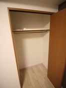 収納 デルタイ－スト