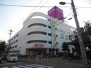 イオン(スーパー)まで500m フジパレス平野南Ⅱ番館