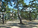 芦屋公園(公園)まで360m パラド－ル芦屋
