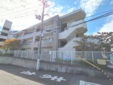 フルハウス