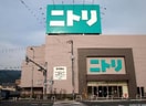 ニトリ外環状店(電気量販店/ホームセンター)まで1000m ディアセレナＢ棟
