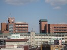 東大阪大学(大学/短大/専門学校)まで739m マンションＨＴ