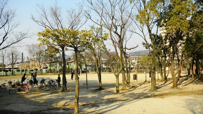 善根寺公園(公園)まで596m コーポ阪奈 Ａ棟