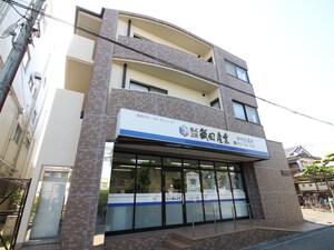 プラティ梅ﾉ木