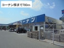 コーナン(電気量販店/ホームセンター)まで780m アリエッタⅡ