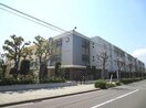 津門小学校(小学校)まで500m 曙マンション