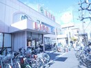 ライフ西七条(スーパー)まで500m パレスコ－ト