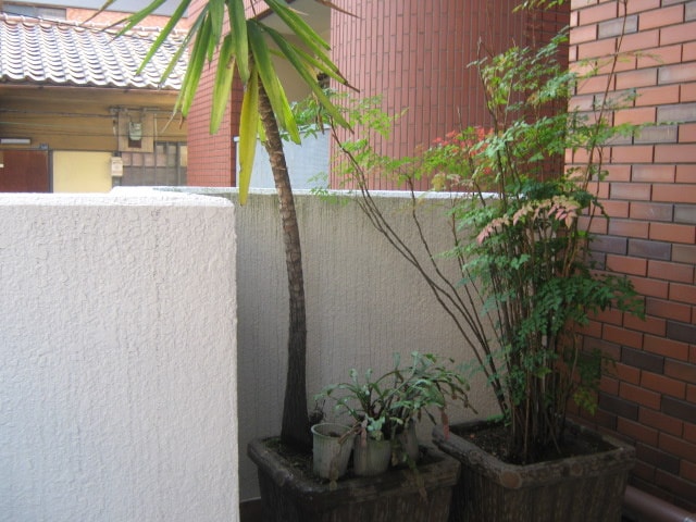 エントランス部分 スマイルハイツ