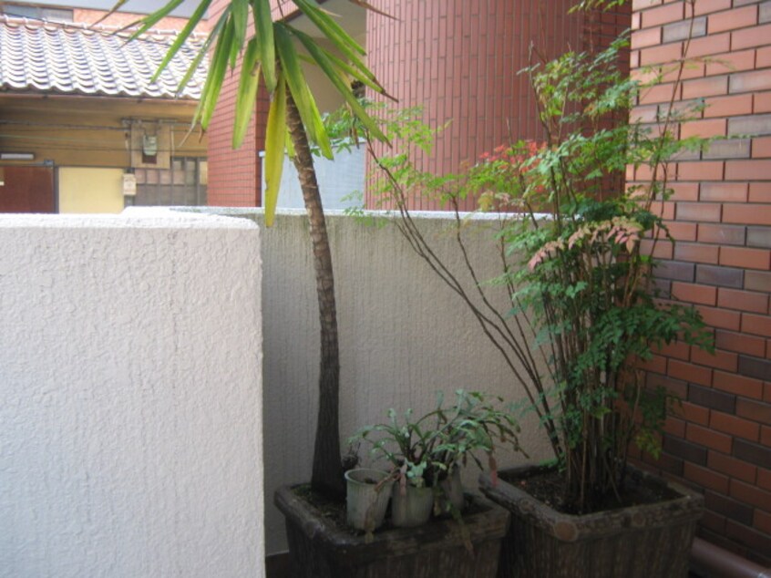 エントランス部分 スマイルハイツ