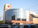イズミヤ　若江岩田店(スーパー)まで912m RISA　A棟
