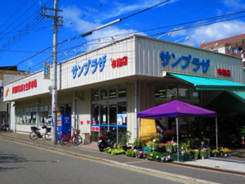 サンプラザ布施店(スーパー)まで336m ハイラインⅢ