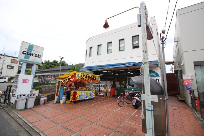 コモン(スーパー)まで400m グランタック竜安寺