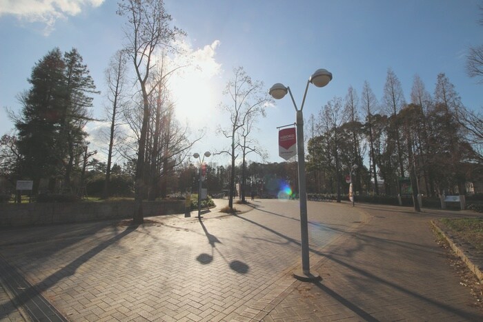 長居公園(公園)まで150m パルク七星・長居公園