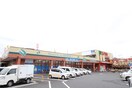 スーパーマーケット コノミヤ 大蓮東店(スーパー)まで703m ラ・フォーレ久宝園