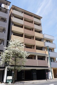 エイペックス京都東山三条(205)