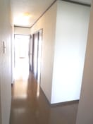 玄関 信和ﾊｲﾂ