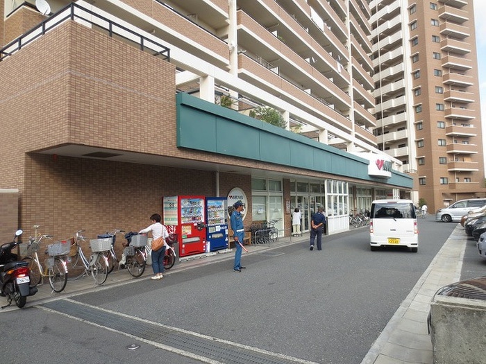 マルヤス(スーパー)まで600m 信和ﾊｲﾂ