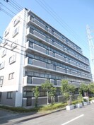 グレイシィＫ・Ｙの外観