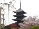 東寺(公園)まで650m アール京都グレイス（506）