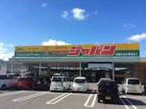 ジャパン(ディスカウントショップ)まで450m シュシュ