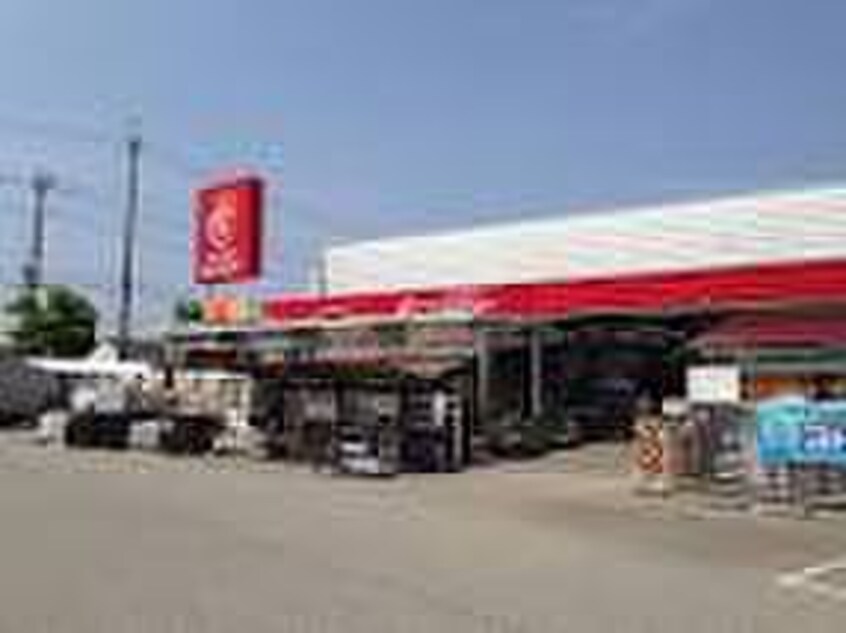 ジュンテンドー(電気量販店/ホームセンター)まで400m シュシュ