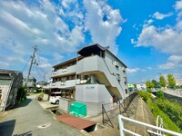 ステラ幾野