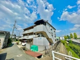 ステラ幾野