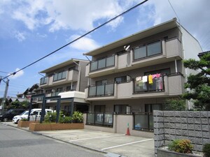 ロイヤル豆塚