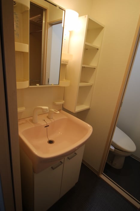 洗面 ヒルズ５谷町