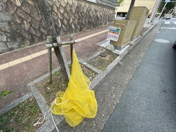 周辺環境