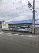 ライフォート(ドラッグストア)まで560m HⅡ南塚口