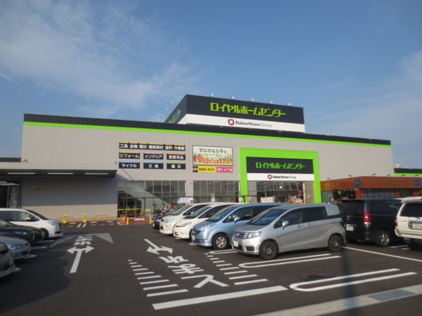 ロイヤルホームセンター(電気量販店/ホームセンター)まで800m ハイム・セトル