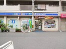 ローソン 中津店(コンビニ)まで357m 島浦ビル