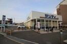 サンディ(コンビニ)まで1000m マンション田井城