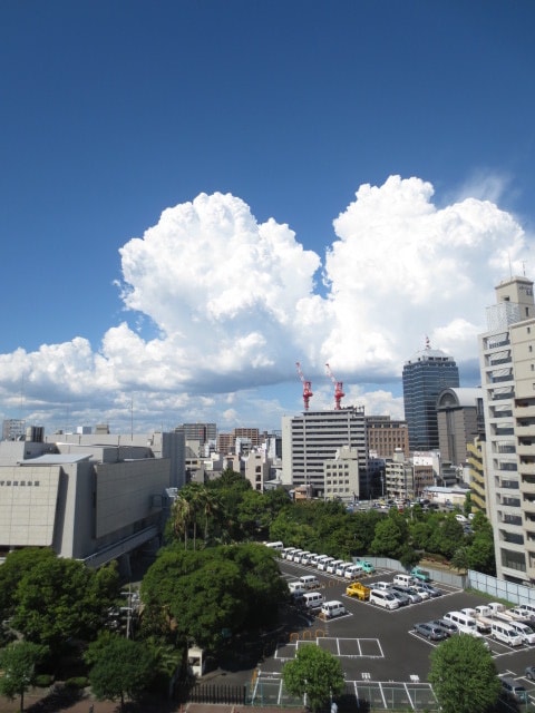 室内からの展望 フェニックス堺東