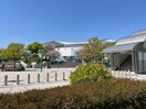 大阪プール(公園)まで251m フラップハウス