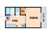 アーバンパレス 1Kの間取り