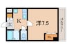 グレイシィ桂 1Kの間取り