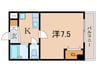 グレイシィ桂 1Kの間取り