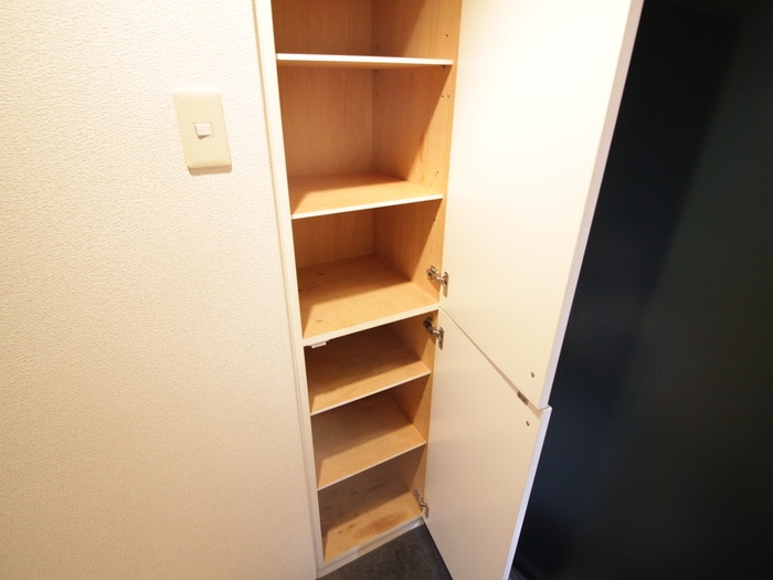 靴箱 グレイシィ桂