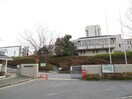 京都市立芸術大学(大学/短大/専門学校)まで3420m グレイシィ桂