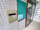 同型モデル アラミス