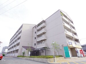 サン・マキシマム（３０３）