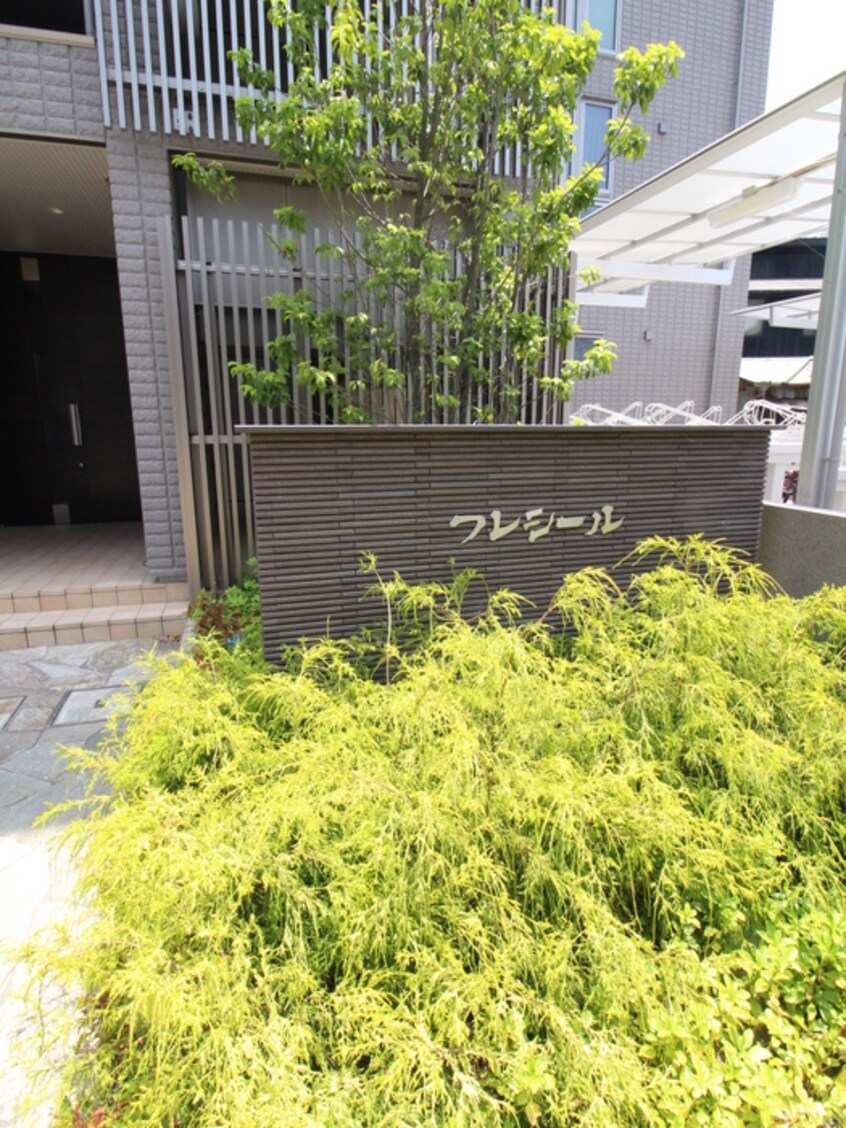 その他 フレシール