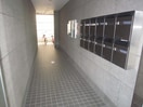 その他 パルトネール20