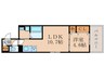 D-ROOM丹波橋 1LDKの間取り